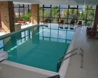 Hotel Valea cu Pesti - Arefu - Pool