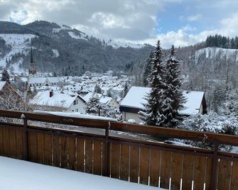 Ferienwohnung am Letzberg - Schönau im Schwarzwald - Balcony