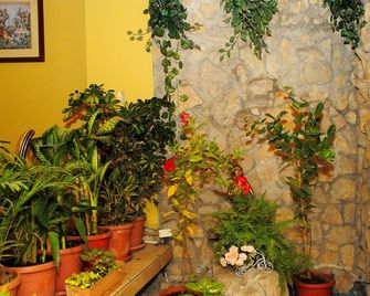 Colony Inn Hotel - Ambato