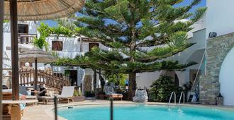 Hotel Anemomilos - Agia Anna - Svømmebasseng