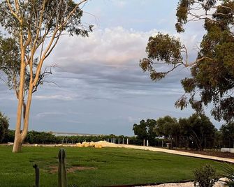 Dreamy Abode - Vineyard Retreat - Barmera - Vista del exterior