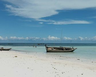 Zanzicrown Hotel - Nungwi - Beach