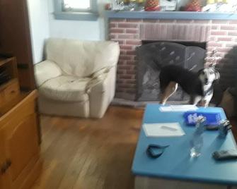 Cozy 1 BR, Walk to Univ of MD, walk to Metro DC access, walk to shops n restaura - College Park - Living room