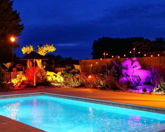 Le Petit Champigny - Souzay-Champigny - Pool