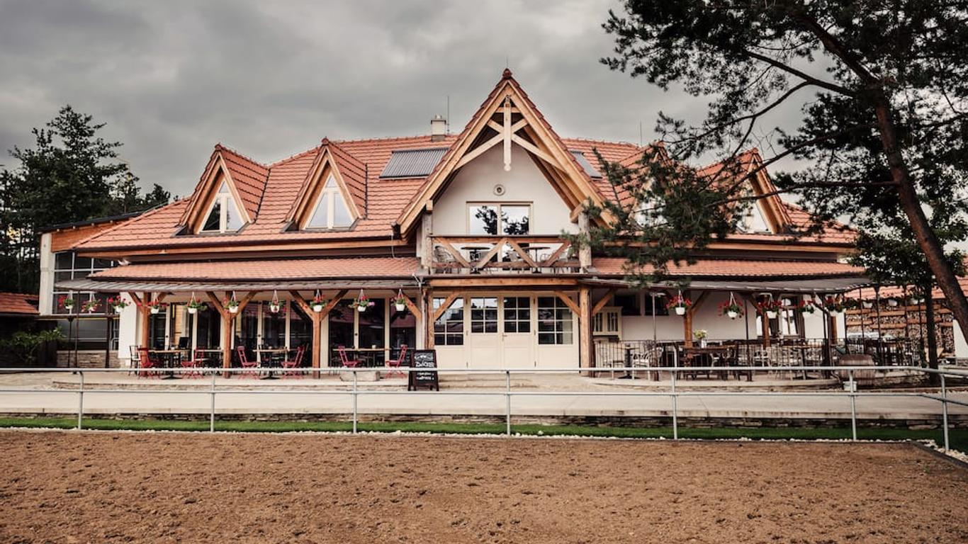 بنسيون زفيكير