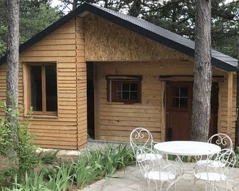 Le Mas de la Pinède - Bollène - Patio