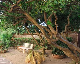 Appartamento vista mare - Lido di Ostia - Innenhof