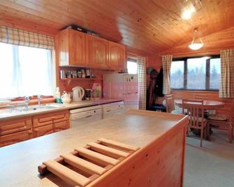 Lodge 53 Aviemore Holiday Park - Aviemore - Kitchen