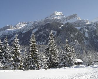 Hôtel Les Sources - Ormont-Dessus - Vista del exterior