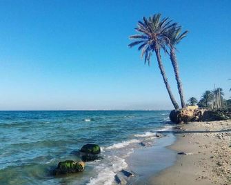Aylimas - Families Only - Monastir - Strand