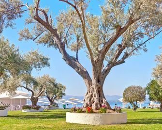 Palmariva Beach Hotel - ארטריה - נוף חיצוני