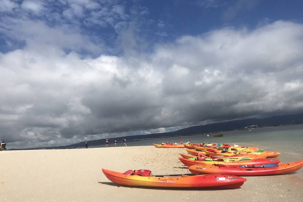 Quinta de San Amaro Rias Baixas