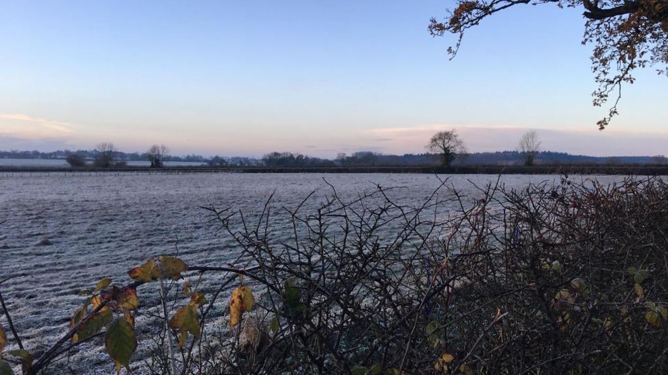 the Orangery - BnB Suites