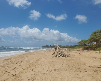 Kaua'I Beach Resort-Beachfront, Ocean View, Poolside View From Your Lanai - Hanamaulu - Playa