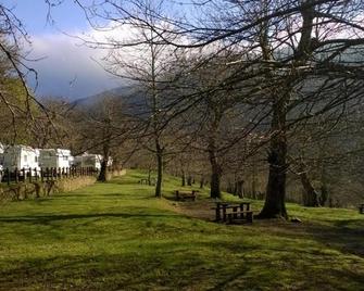 Camping Camaldoli - Camaldoli - Vista del exterior