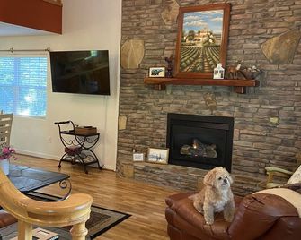 Great Location, Spacious & Comfy Mountain Home! - Murphy - Obývací pokoj