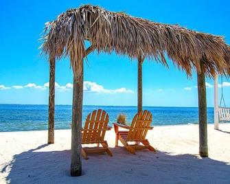 On the Rocks! - Seaside Serenity, Wave Melodies - Tampa - Beach