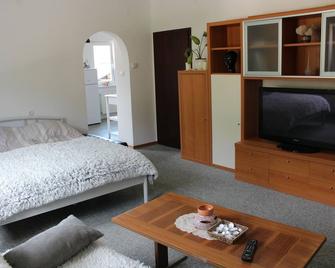 R&g Apartment - Žirovnica - Habitación