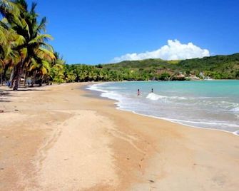 Breathtaking Ocean View Condo w/ 3 bedrooms in Palmas del Mar - Humacao - Playa