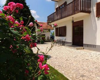Emanuela Apartments are in a very good location in the middle of t - Drežnik Grad - Terasa