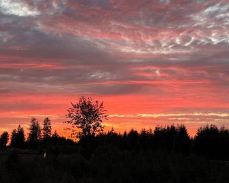 Cozy Cottage on the hill near Centralia/Chehalis for your getaway retreats. - Chehalis - Venkovní prostory
