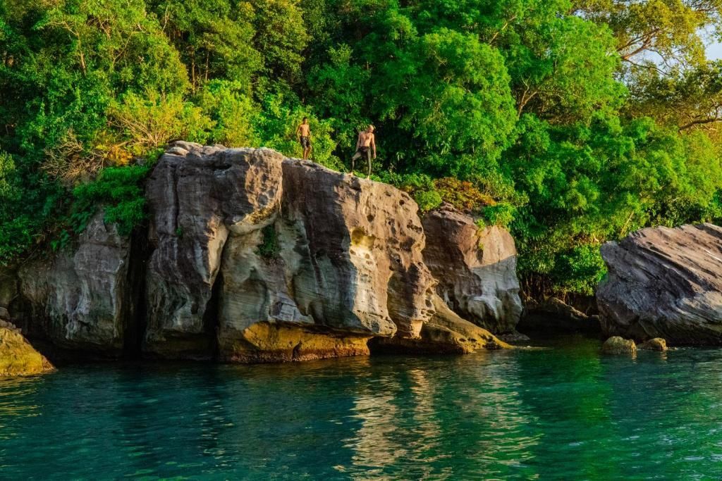 Kactus - Your Island Sanctuary