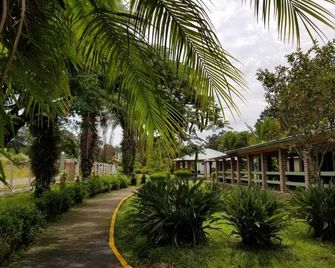 Estancia del Bosque Forest Guest House - Siguatepeque - Vista del exterior