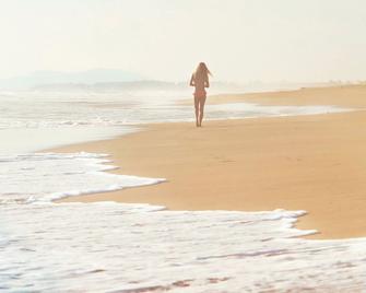 Playa Viva - איקסטפה זיהואטנחו - חוף