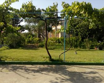 App Leo - Near the Centre - Rab