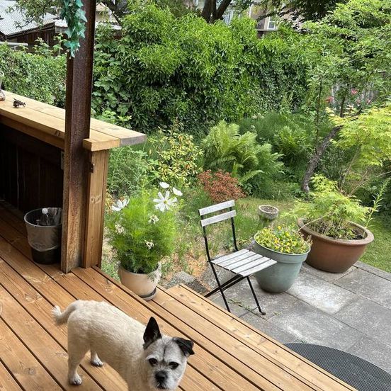 Davaa`s Bed And Breakfast – Randers