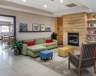 Country Inn & Suites by Radisson, Atlanta Downtown - Атланта - Лаунж