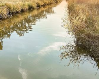Spacious Camp With Canal Access And Beau - Franklin - Vista del exterior