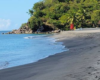 Salisbury Ocean View Villa - Roseau - Plage