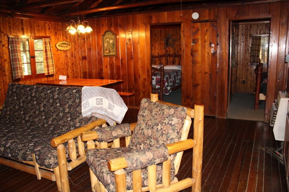 Spacious Log Cabin with Fireplace and Hot tub