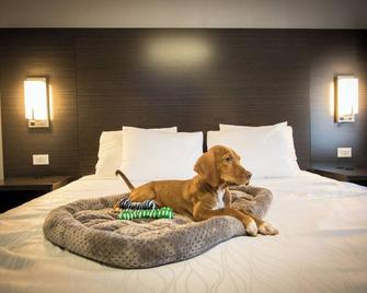 King Accessible Non-Smoking Pet Friendly - Henderson - Schlafzimmer