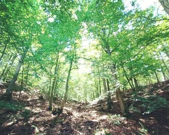 Tiny apartment in a quiet location near the North Eifel National Park - Heimbach