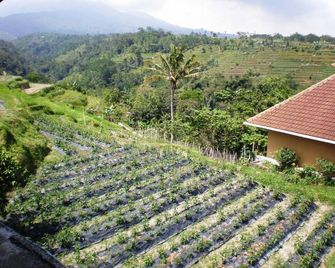 Shangrilah Villas - Baturiti - Vista del exterior