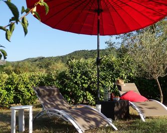 Charming cottage with large pool, garden & views of Pyrénées, near Carcassonne - Carcassonne - Patio