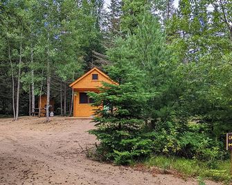 Fox Den #3 - Maynooth