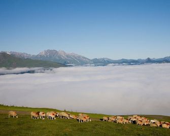 Le Viscos - Argelès-Gazost