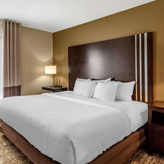 Bedroom view of Comfort Inn Paducah I-24