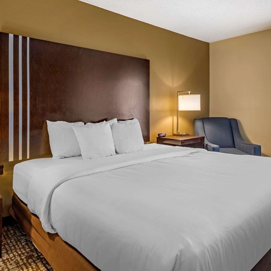 Bedroom view of Comfort Inn Paducah I-24