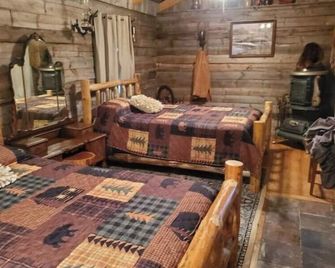 Pioneer cabin in Bowden, Canaan Valley sleeps 8 - Elkins - Bedroom