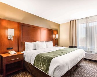 Comfort Suites Tuscaloosa Near University - Tuscaloosa - Phòng ngủ