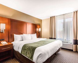 Comfort Suites Tuscaloosa Near University - טוסקלוסה - חדר שינה