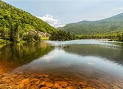 Treehouse overlooking a beautiful brook with in the upper valley - Lebanon - Outdoors view