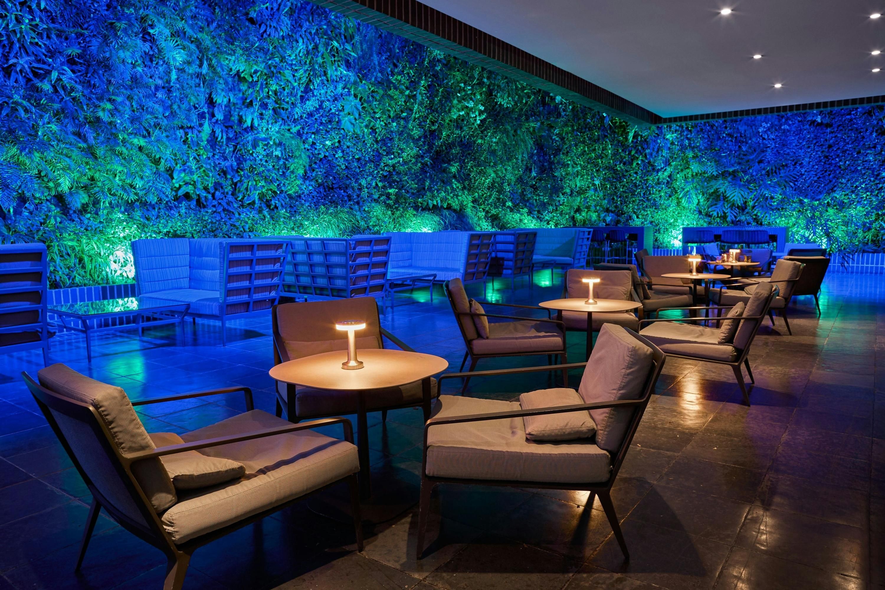 رينيسانس كاراكاس لا كاستيلانا هوتل - كاراكاس - ردهة