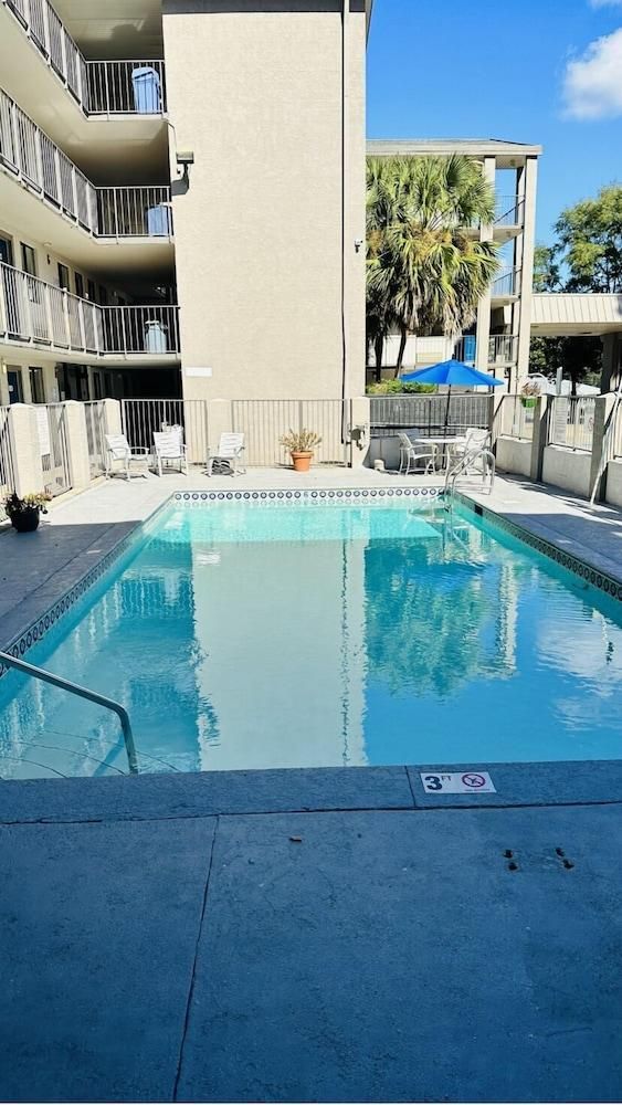 لويالتي إن تالاهاسي