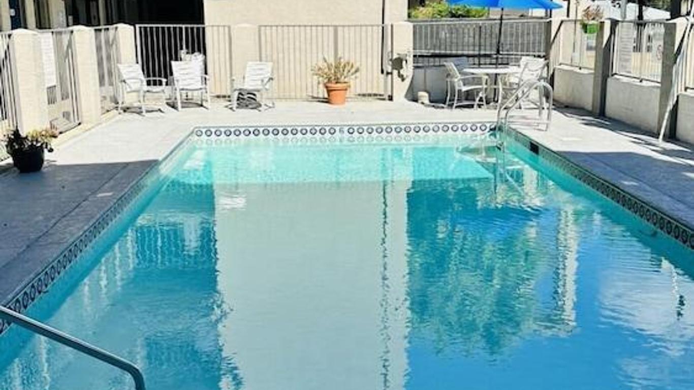 لويالتي إن تالاهاسي