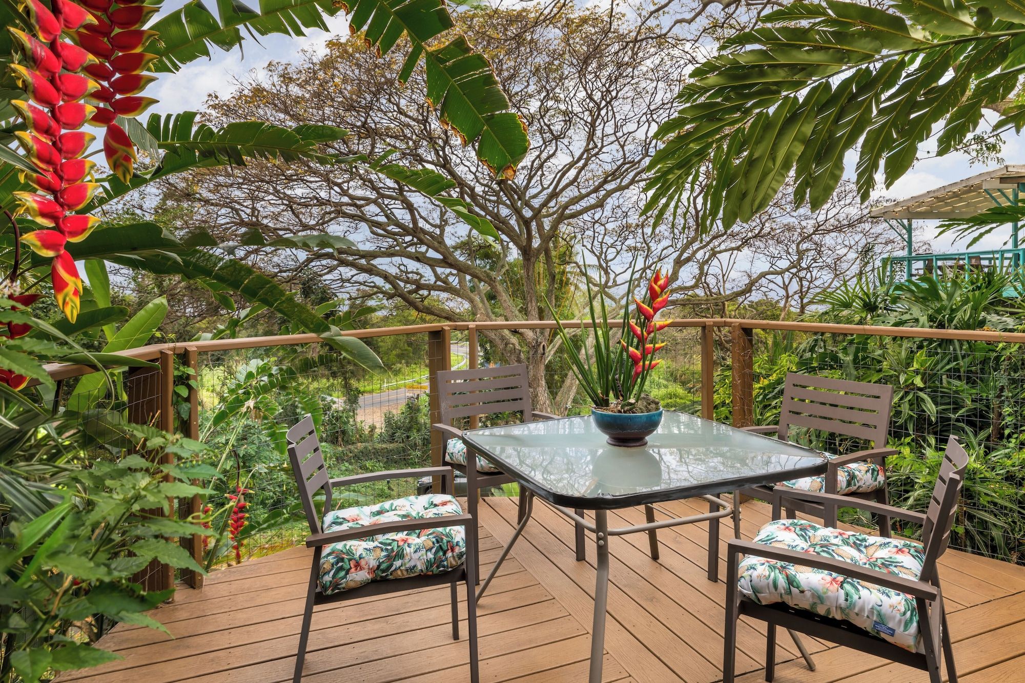 Dragonfly Ranch - קפטן קוק - מרפסת